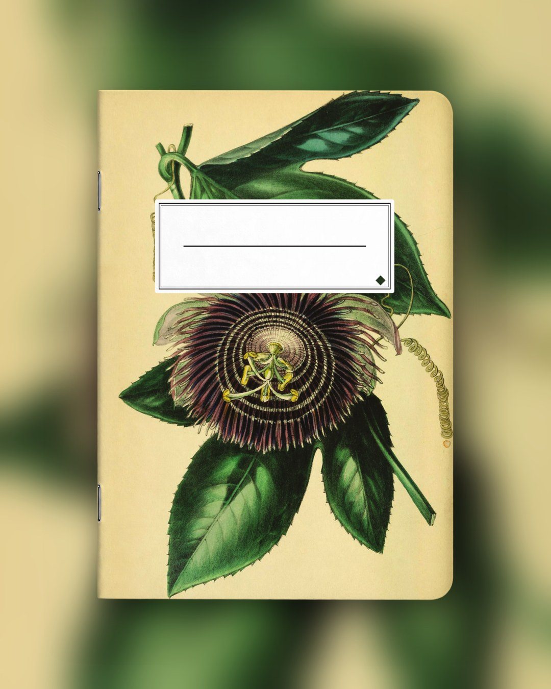 Nr. 003 (Paxton's Botanik) – Foto