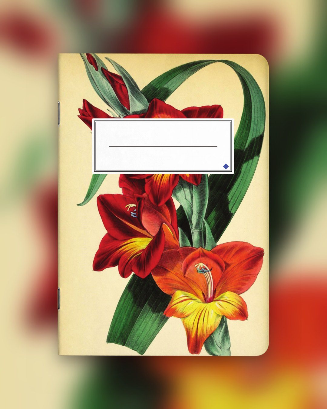 Nr. 004 (Paxton's Botanik) – Foto