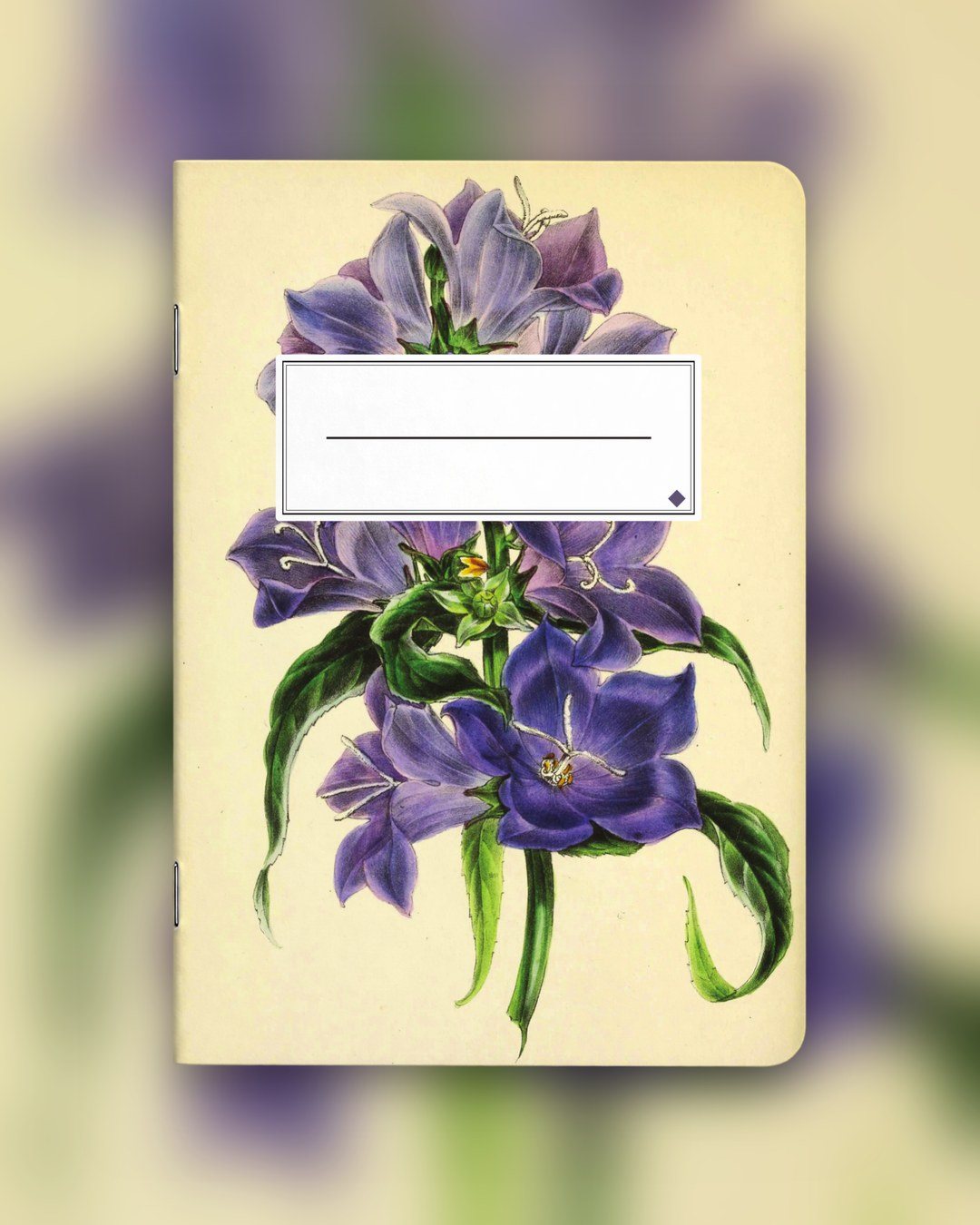 Nr. 005 (Paxton's Botanik) – Foto