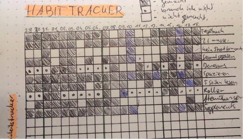 Handgezeichneter Habit Tracker in einem ALLESBUCH